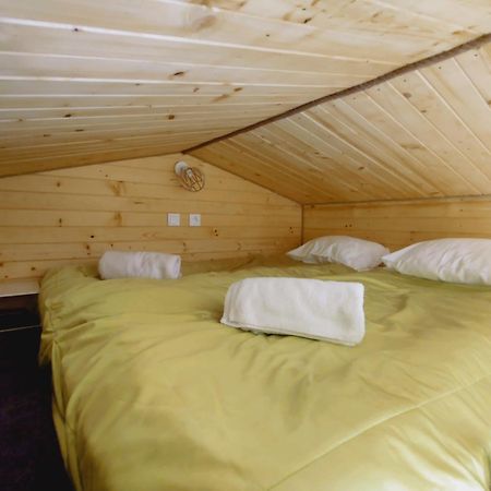 Apartamenty Zabcia Grzybowo  Exterior foto